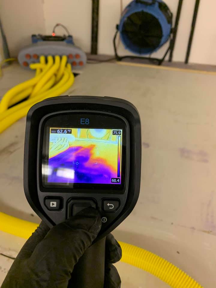 Mold Sensor