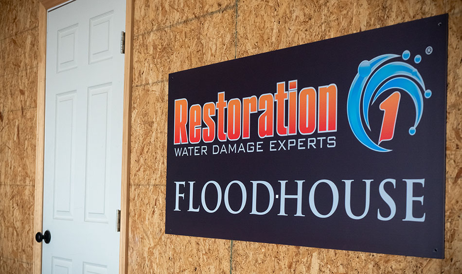 Restoration1_DSC0419